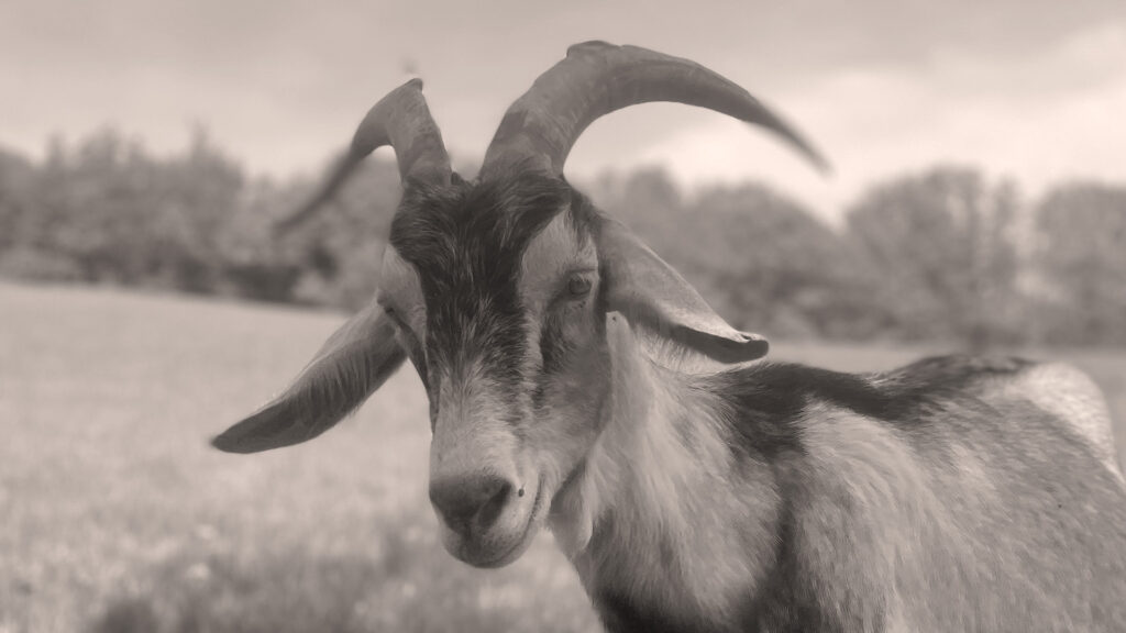 Kateřinka „ŠŤASTNÁ MAMINKA“