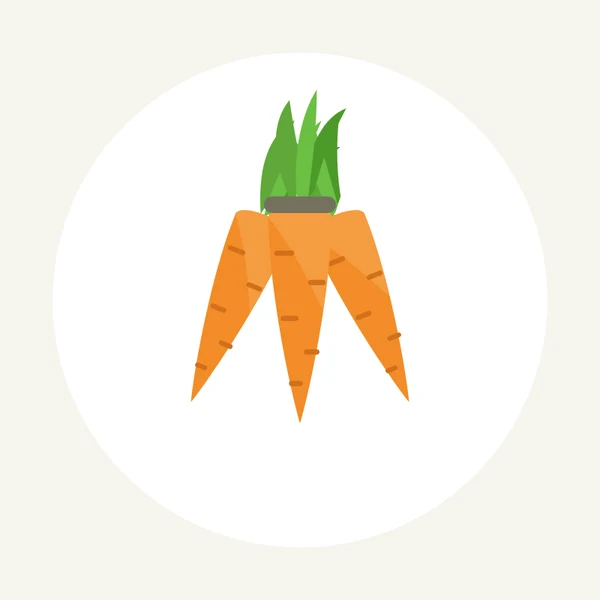 Ilustrace svazku mrkví